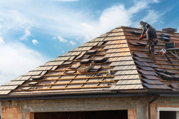 Best Roof Inspection  in Parsons, WV